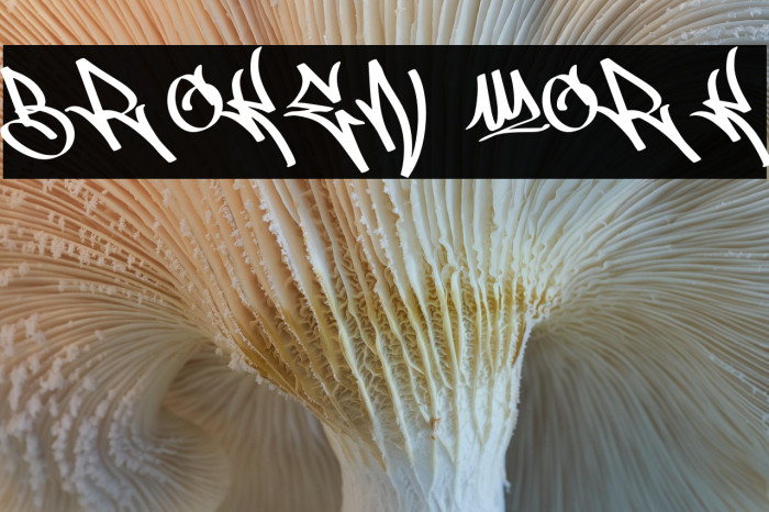 Broken Work Example 1