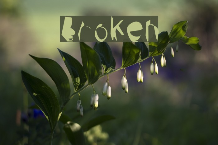 Broken Font examples