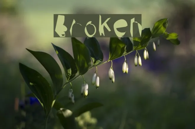 Broken Example 1