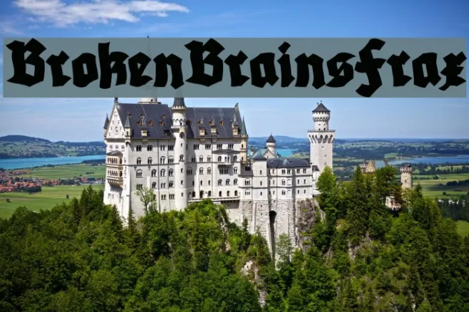 BrokenBrainsFrax Example 1