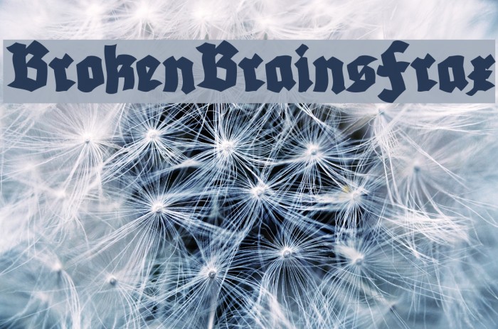 BrokenBrainsFrax Font examples
