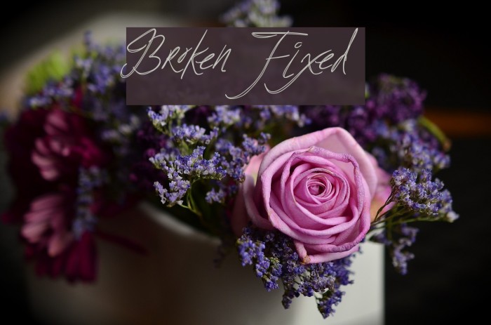 BrokenFixed Font examples