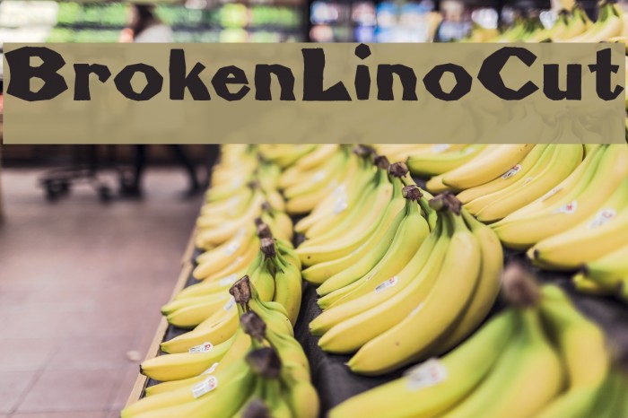 BrokenLinoCut Example 2