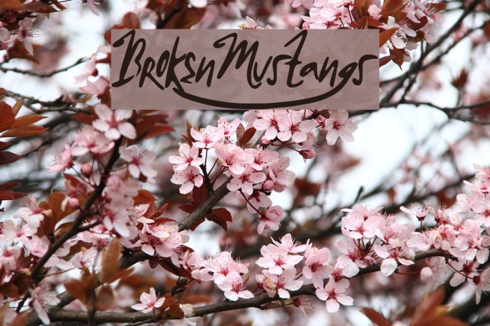 BrokenMustangs Font examples