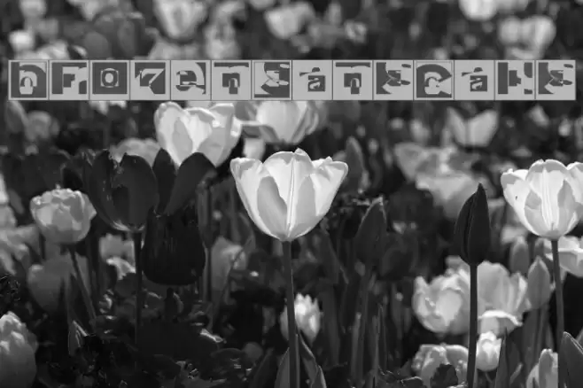 BrokenSansCaps Font examples