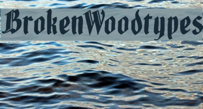 BrokenWoodtypes Example 3