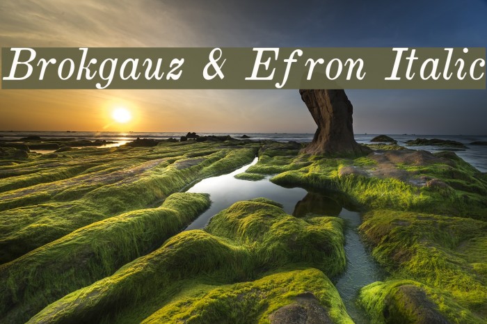 Brokgauz & Efron Italic Font examples