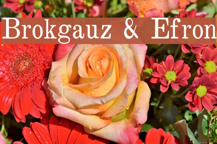 Brokgauz & Efron Example 2