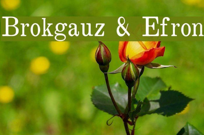 Brokgauz & Efron Font - FFonts.net