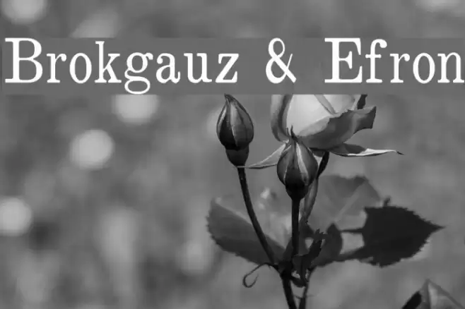 Brokgauz & Efron Font examples