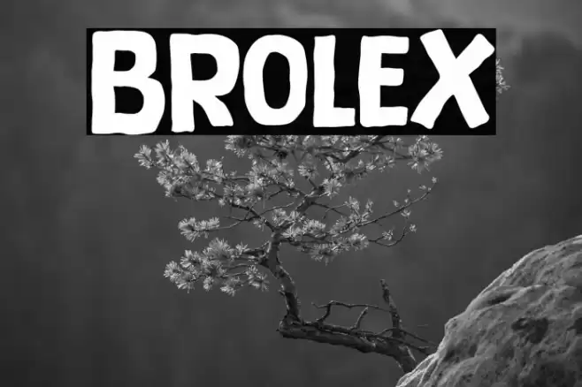 Brolex Font examples