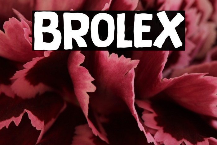 Brolex Example 3