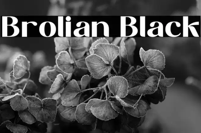 Brolian Black Font examples