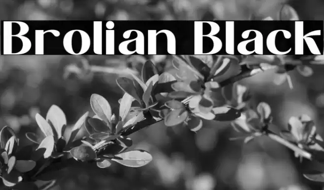 Brolian Black Font examples