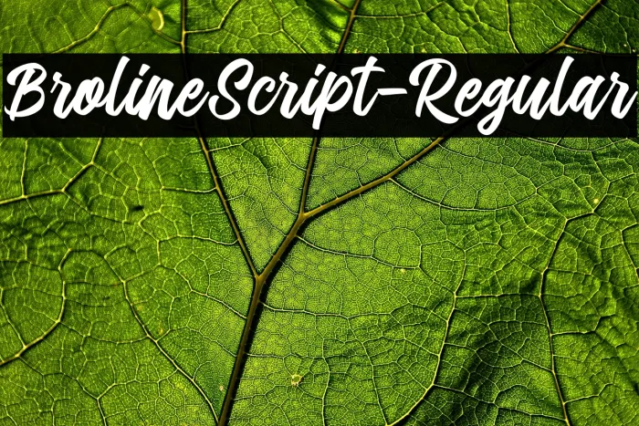 BrolineScript-Regular Example 2