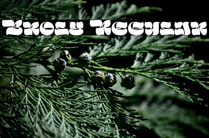 Broly Regular Example 3