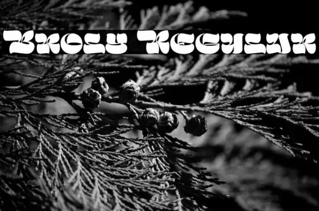 Broly Regular Font examples