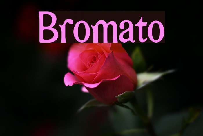 Bromato Font examples