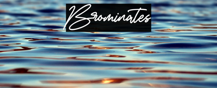 Brominates Example 2