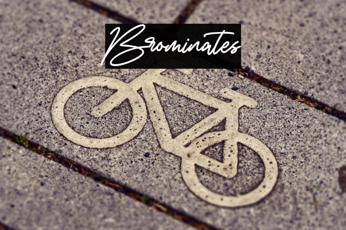 Brominates Example 3