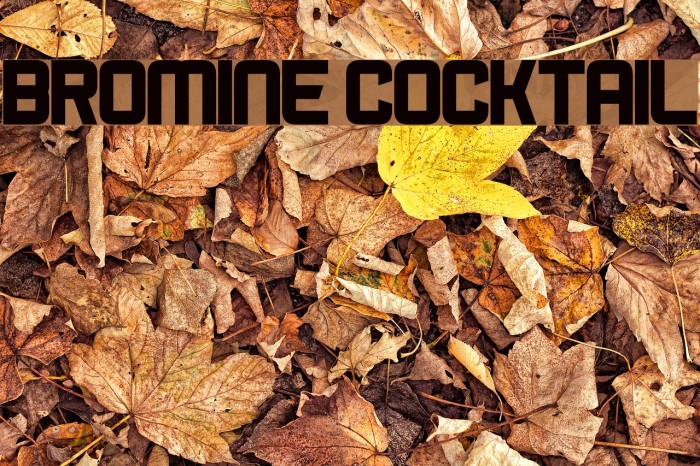 Bromine Cocktail Font examples