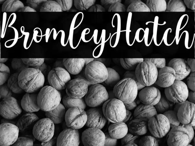 BromleyHatch Font examples