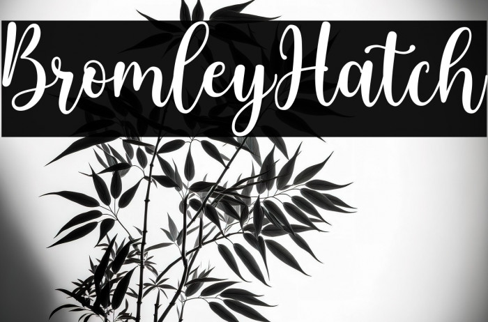 BromleyHatch Example 3