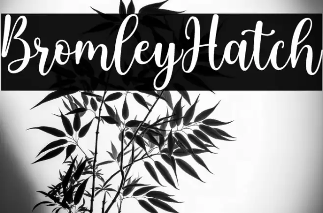 BromleyHatch Font examples