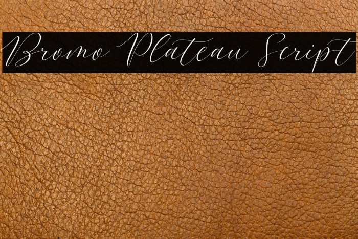 Bromo Plateau Script Example 1