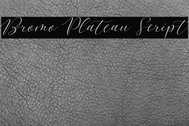 Bromo Plateau Script Font examples