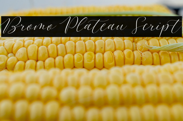 Bromo Plateau Script Example 2