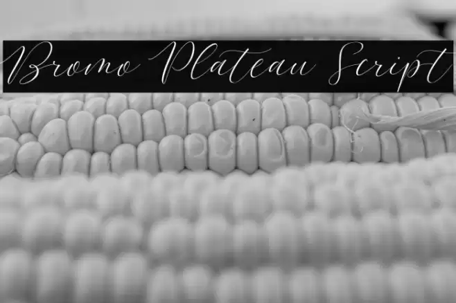 Bromo Plateau Script Font examples
