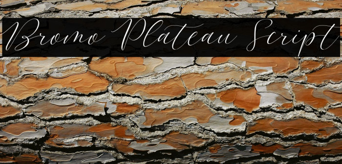 Bromo Plateau Script Example 3