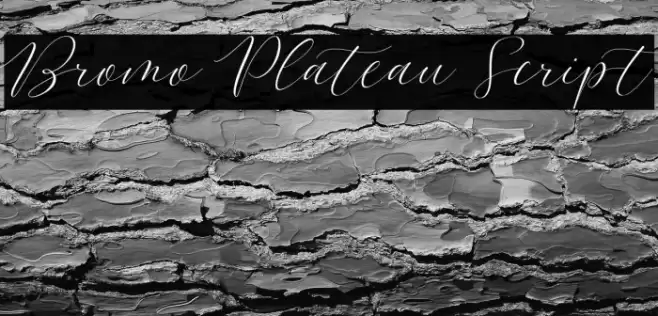 Bromo Plateau Script Font examples