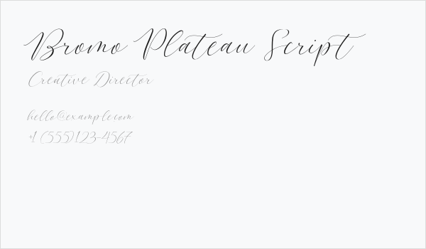 Bromo Plateau Script Business Card