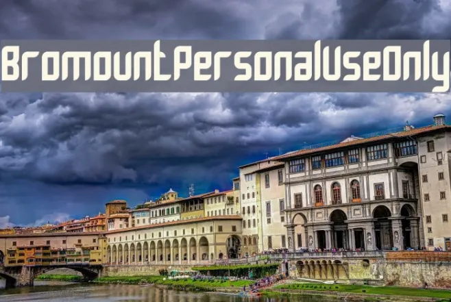 Bromount Personal Use Only Example 3