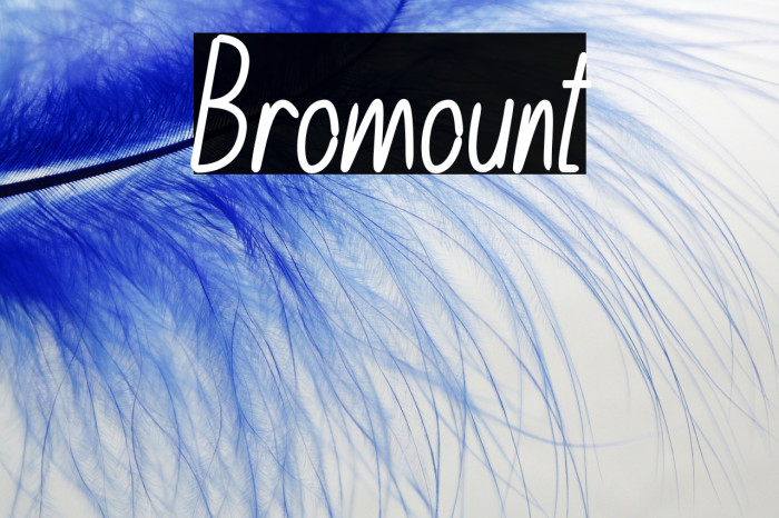 Bromount Example 1