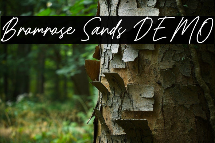 Bromrose Sands DEMO Example 1