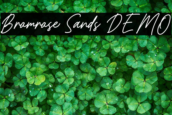 Bromrose Sands DEMO Example 3