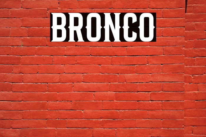 Bronco Example 1