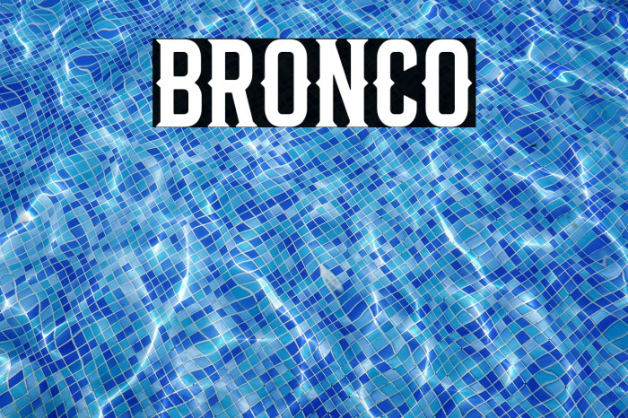 Bronco Example 3