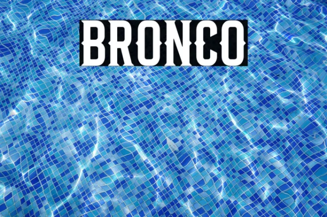 Bronco Example 3