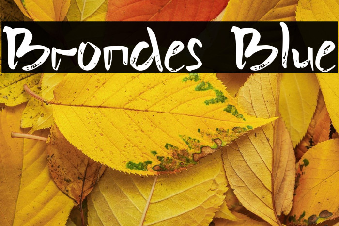 Brondes Blue Example 2