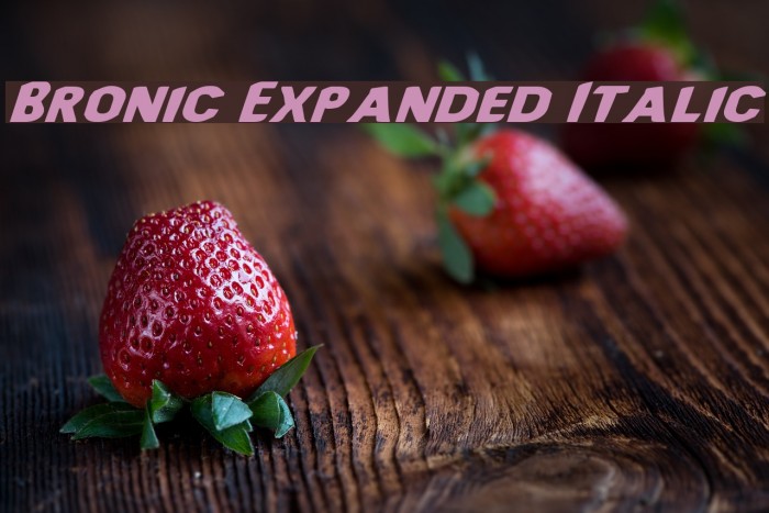 Bronic Expanded Italic Font examples