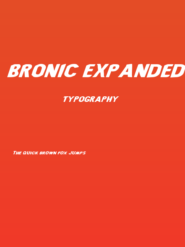 Bronic Expanded Italic Poster
