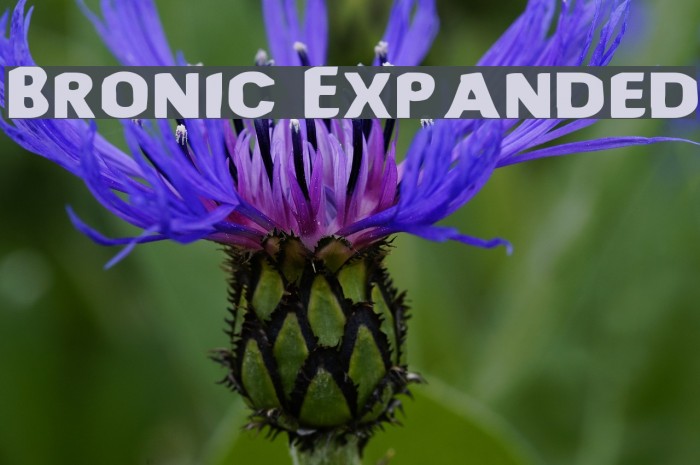 Bronic Expanded Font examples