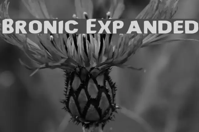 Bronic Expanded Caratteri examples