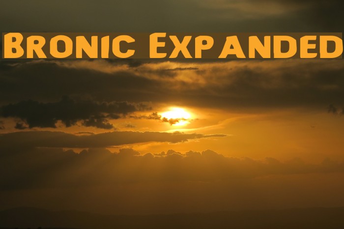 Bronic Expanded Font examples