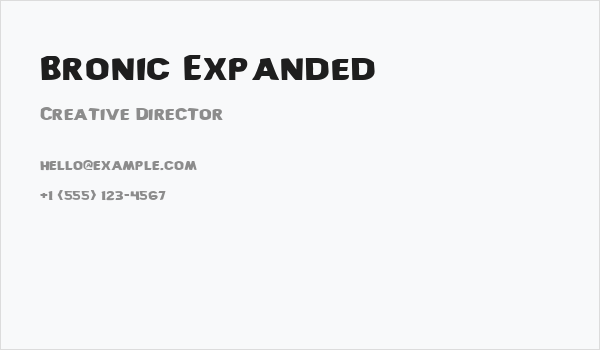 Bronic Expanded Business Card
