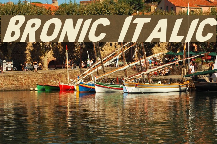 Bronic Italic Polices examples